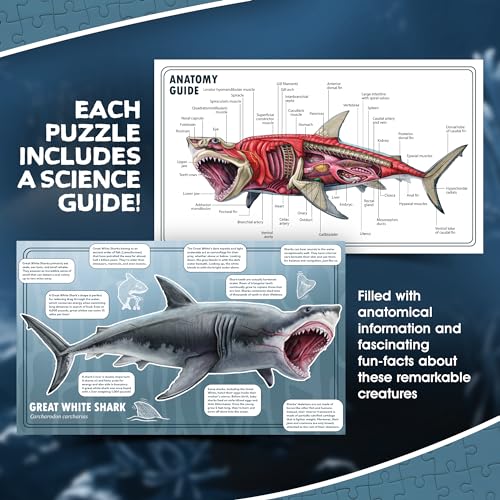 Shark Animal Anatomy Floor Puzzle | 100-Piece Double Sided Jigsaw Puzzle | Large Floor Puzzles for Kids Ages 4-8, 3-5, 8-10 | Fun and Educational Toy for Kids, Toddlers and Families - view 6