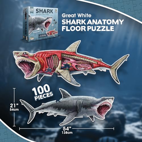 Shark Animal Anatomy Floor Puzzle | 100-Piece Double Sided Jigsaw Puzzle | Large Floor Puzzles for Kids Ages 4-8, 3-5, 8-10 | Fun and Educational Toy for Kids, Toddlers and Families - view 5