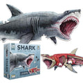 Shark Animal Anatomy Floor Puzzle | 100-Piece Double Sided Jigsaw Puzzle | Large Floor Puzzles for Kids Ages 4-8, 3-5, 8-10 | Fun and Educational Toy for Kids, Toddlers and Families