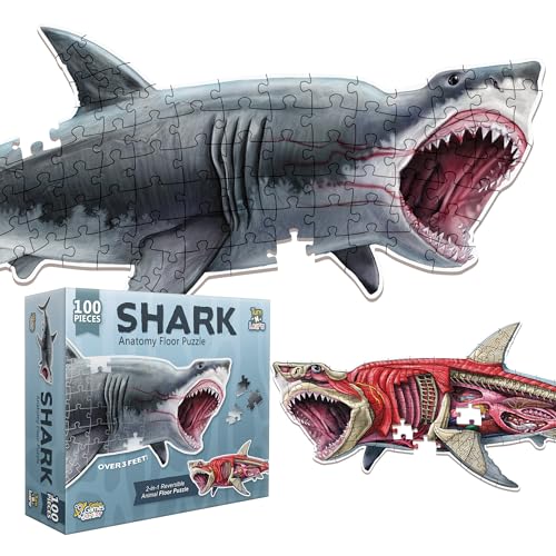 Shark Animal Anatomy Floor Puzzle | 100-Piece Double Sided Jigsaw Puzzle | Large Floor Puzzles for Kids Ages 4-8, 3-5, 8-10 | Fun and Educational Toy for Kids, Toddlers and Families