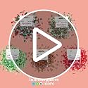 Buttons Galore Sprinkletz, Tiny Polymer Clay Embellishments for Crafts, Scrapbooks, Card Making & Shaker Crafts-Christmas-60 Grams Total - view 3