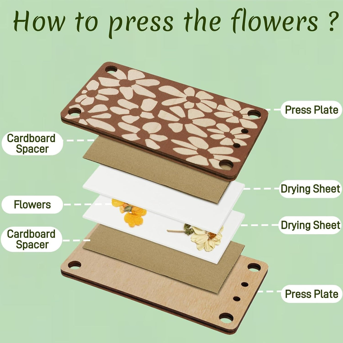 2 Sizes Mini Flower Press, Wooden Pocket Travel Leaf Pressing Kit, 6 Layers Botanical Preservation Set, Portable DIY Craft Supply Gift for Micro Plant Pressing, 4.5"x2.5" & 2.5"x2.5" - view 4