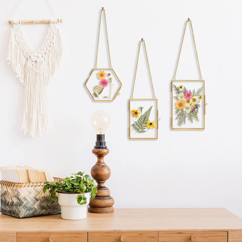 Pressed Flower Frame Kit, 3 Hanging Glass Frames | Three gold double-glass hanging frames with chains, 4 flower packs, tweezers and adhesive dots for flat botanical keepsakes. - view 7