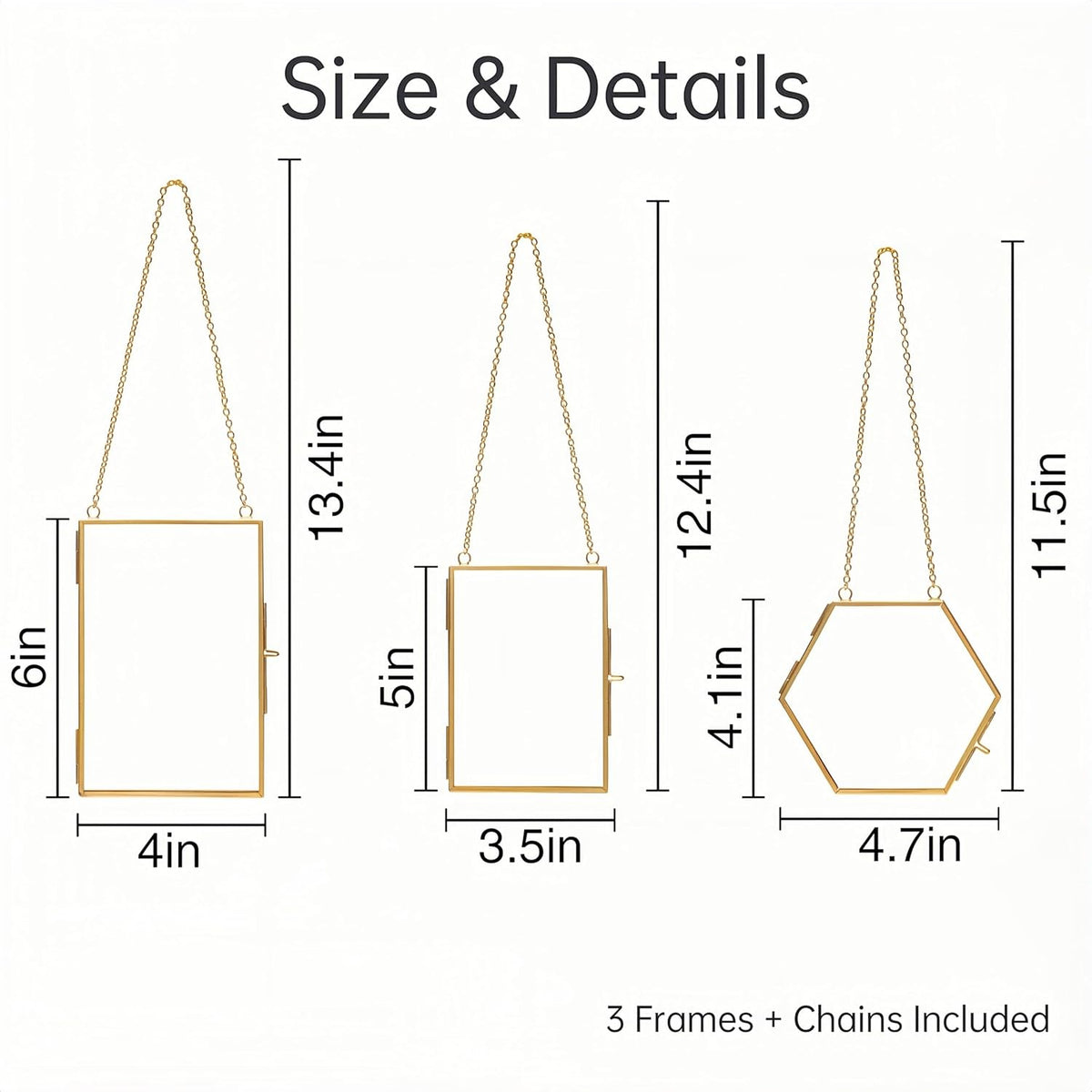 Pressed Flower Frame Kit, 3 Hanging Glass Frames | Three gold double-glass hanging frames with chains, 4 flower packs, tweezers and adhesive dots for flat botanical keepsakes. - view 3
