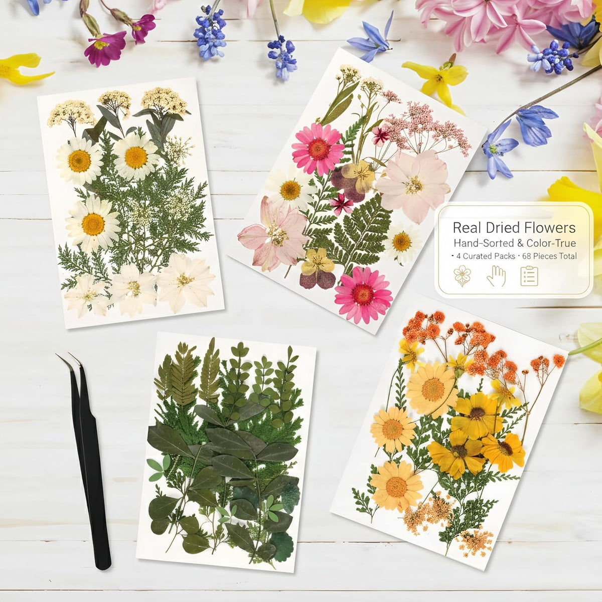 Pressed Flower Frame Kit, 3 Hanging Glass Frames | Three gold double-glass hanging frames with chains, 4 flower packs, tweezers and adhesive dots for flat botanical keepsakes. - view 6