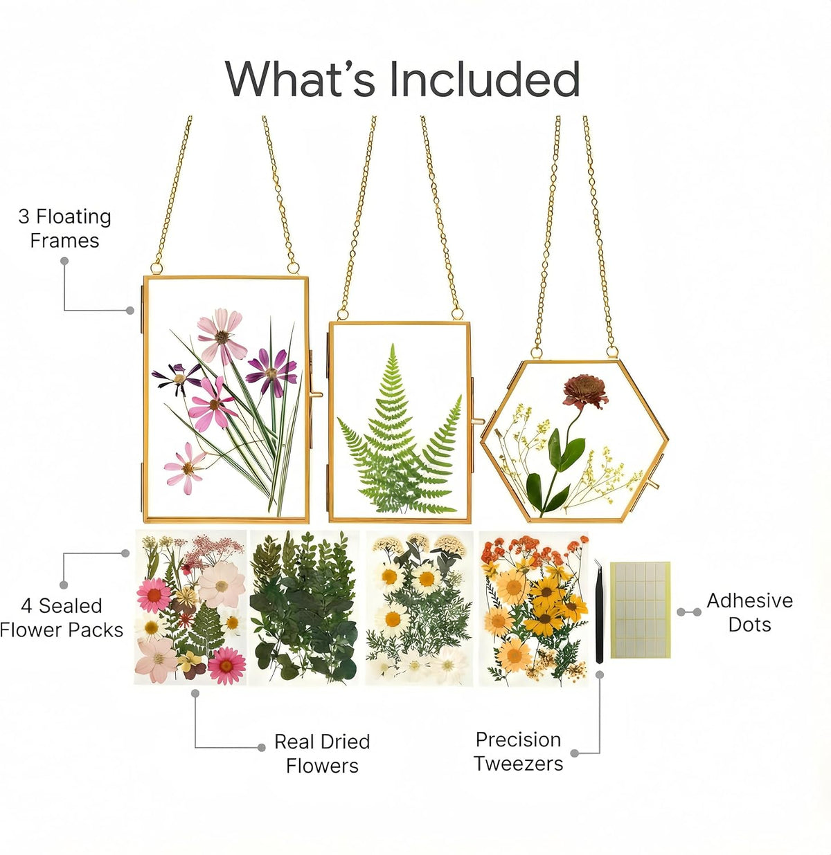 Pressed Flower Frame Kit, 3 Hanging Glass Frames | Three gold double-glass hanging frames with chains, 4 flower packs, tweezers and adhesive dots for flat botanical keepsakes. - view 2