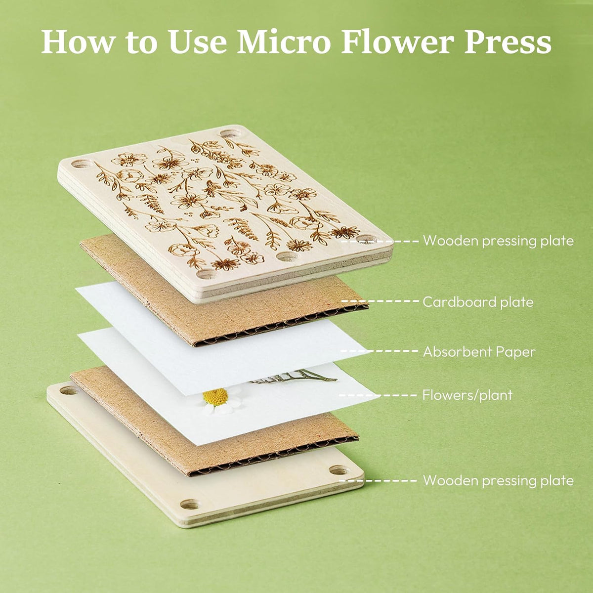 Mini Flower Press Kit 2.5x4 Inch, Pocket Pressed for Small Flowers | for beginners travel outdoor, presses plant leaves herbs micro flowers, classroom arts craft lovers - view 2