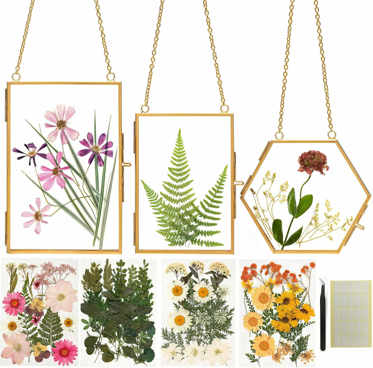 Pressed Flower Frame Kit, 3 Hanging Glass Frames | Three gold double-glass hanging frames with chains, 4 flower packs, tweezers and adhesive dots for flat botanical keepsakes.